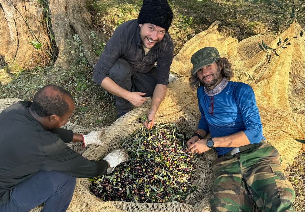 The Season of Harvests in Tuscany: Three Ways to Live It from the Inside 3 The Season of Harvests in Tuscany: Three Ways to Live It from the Inside - Montalcino Wine Tours