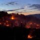 The Year of Less: the frost that made Brunello 2021